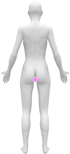 Female body back groin