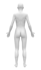 Female Body Back