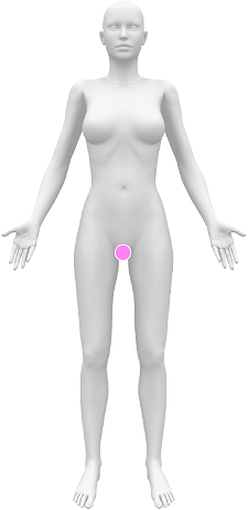 Female body front groin