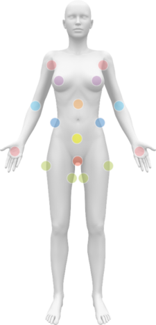 Female body map