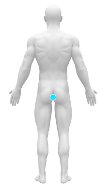 Male body back groin